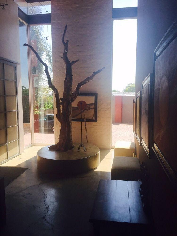 African Moon Corporate House Kempton Park Dış mekan fotoğraf